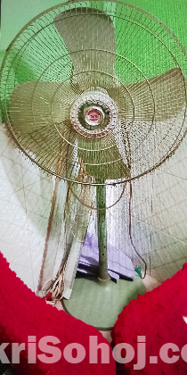 G F C fan